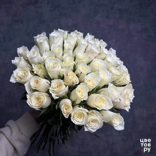 51 белая роза 