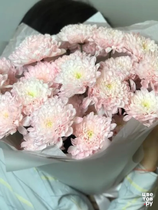 моно букет зефирных хризантем 